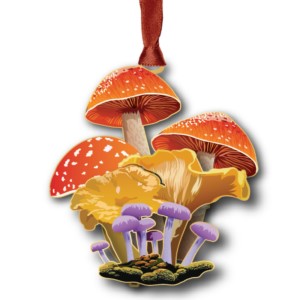 Baldwin 68001 Mushrooms